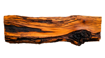 Striking burnt wood texture with rich patterns, isolated, cut out transparent png