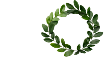 Fresh green leaves arranged in a wreath, circle frame, cut out transparent png