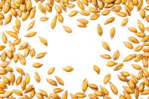 Scattered barley malt grains on black background , cut out transparent png