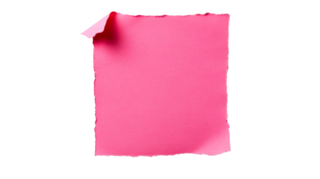 Isolated pink paper with torn edges and curl, cut out transparent png