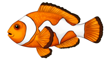 Clownfish with orange, white, and black stripes, cut out transparent png