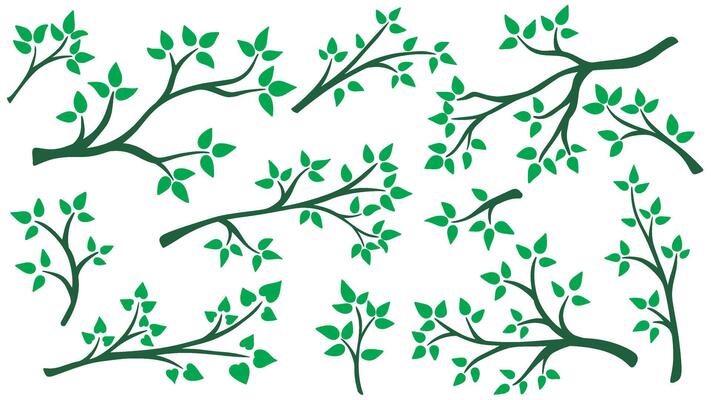Tree branch with young green leaves set