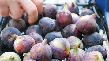 Fresh figs displayed at a local market during the afternoon video