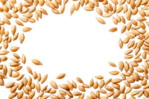 Frame of grain seeds on black backdrop, top view, cut out transparent png
