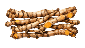 Vibrant orange turmeric roots on a clear background png
