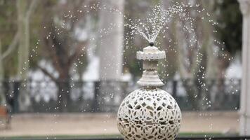 Beautiful fountain in a peaceful park setting during spring video