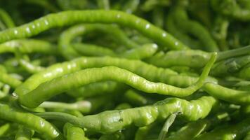 Fresh green chilies on display at local market in afternoon sun video