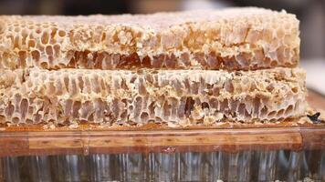 Honeycomb extraction process in a local apiary during summer video