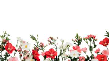 Floral arrangement of poppies and greenery isolated , cut out transparent png