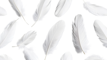 Soft white feather arrangement, background element, concept of lightness, cut out transparent png