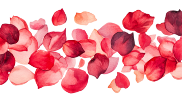 Red petals in watercolor create a lovely pattern background, cut out transparent png