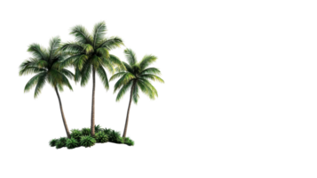 Three palm trees surrounded by lush greenery on transparent background png