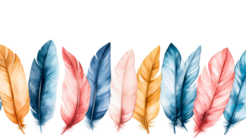 Watercolor Feathers in a Row, Illustration, Isolated, Decorative, cut out transparent png