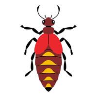 Stylized beetle. Bug with unique and colorful design. Hand drawn trendy flat style. Simple, Minimalist design, clean lines modern flat style. Ideal for nature designs and childrens illustrations vector