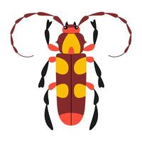 Stylized, cartoonish beetle with unique and colorful design. Hand drawn trendy flat style. Simple, Minimalist design, clean lines modern flat style. Ideal for nature designs or childrens illustrations vector