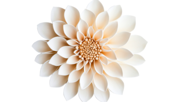 Elegant Blossom with Intricate Petals, Isolated Design , cut out transparent png