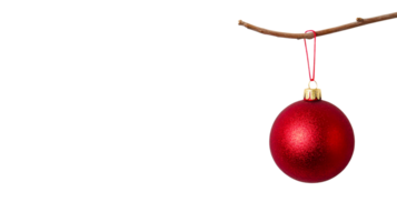 Red ornament hanging on a twig on black, cut out transparent png