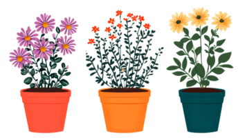 três em vaso plantas com colorida flores, cortar Fora transparente png