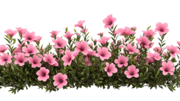 Pink Linen Flowers with Green Leaves, Cut Out Transparent png