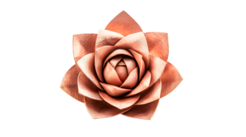 Copper lotus flower, metallic bloom, intricate petals isolated, cut out transparent png