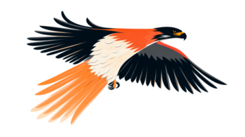 Colorful hawk in flight with detailed feather patterns png