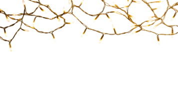 String lights with warm glow against transparent background png