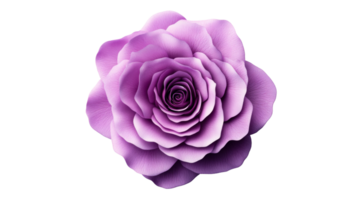 Beautiful purple rose with layered petals on transparent background png