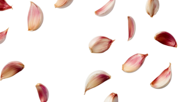Garlic cloves arrangement on a dark background, cut out transparent png