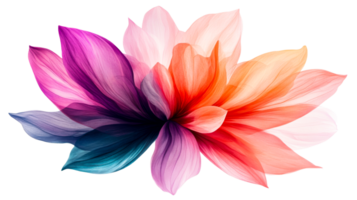 Translucent petals create vibrant colorful flower, cut out transparent png