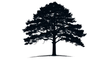 Tree silhouette drawing on black backdrop, tree, grass, cut out transparent png
