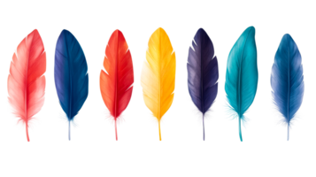 Colorful feathers in a row against black, studio shot, cut out transparent png