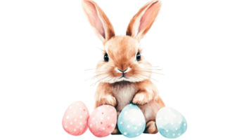 Easter bunny sitting with eggs, spring design element, cut out transparent png