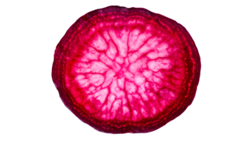Beetroot slice detail showcases texture, color, pattern, raw, cut out transparent png