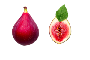Red fig fruit halves studio shot detail texture, cut out transparent png