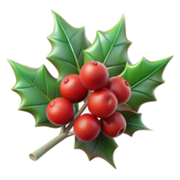 magnificent minimalist Branch of holly with berries exclusive png