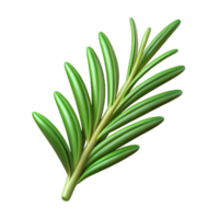 elegant abstract Sprig of rosemary exclusive png