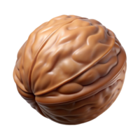 vibrant artistic Single walnut in shell high resolution png