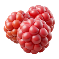 extraordinary abstract One cluster of raspberries authentic png