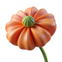 vibrant classic Close-up of a single poppy seed premium png
