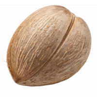 Realistic Pecan Nut Isolated on Transparent Background for Culinary and Nutritional Use png
