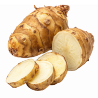 Fresh Sunchoke Vegetable with Whole and Sliced Cross Sections on Transparent Background png