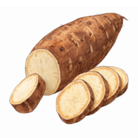 Yam Root and Freshly Sliced Segments Isolated on Transparent Background for Culinary Use png
