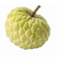 Fresh Cherimoya Fruit with Scaly Green Skin and Slightly Yellow Undertones on Transparent Background png
