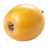Fresh Ripe Loquat Fruit Isolated on Transparent Background for Culinary and Design Use png