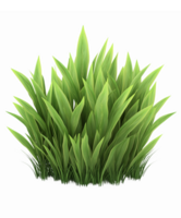 Lush Green Grass Clump with Vibrant Blades for Nature Themes and Landscaping Projects png