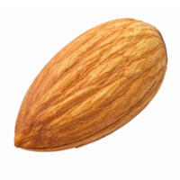 Realistic Almond Nut Isolated on White Background for Healthy Snack and Culinary Uses png