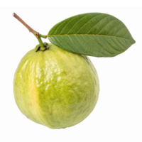 Fresh Green Guava with Leaf Isolated on Transparent Background for Culinary and Health Use png