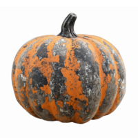 Realistic Textured Pumpkin with Orange and Black Stripes for Autumn and Halloween Decor png