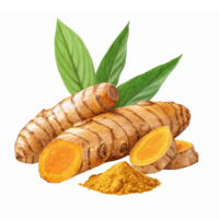 Fresh Turmeric Roots with Slices and Yellow Powder on Transparent Background png