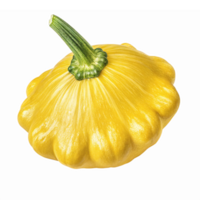 Realistic Yellow Pattypan Squash Illustration with Detailed Texture and Transparent Background png